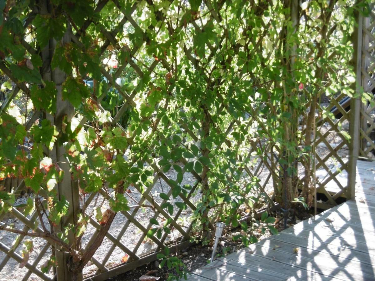 Le Chat Qui Peche B&B Chateauneuf-la-Foret Екстер'єр фото