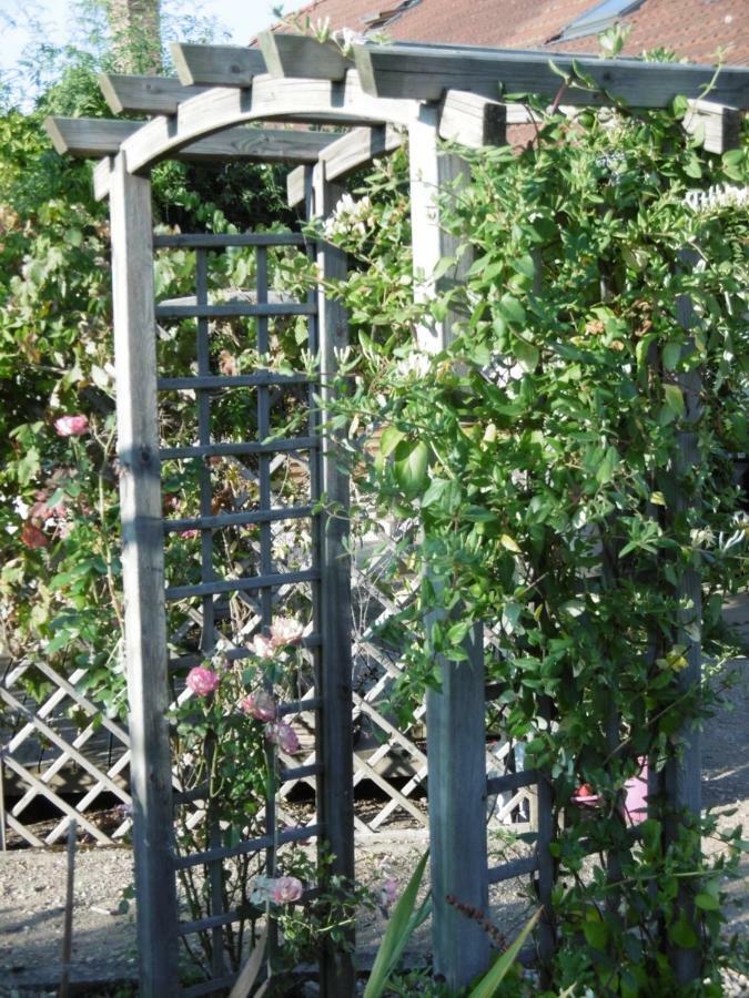Le Chat Qui Peche B&B Chateauneuf-la-Foret Екстер'єр фото